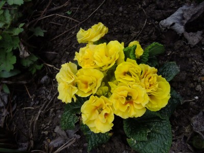 2016_0409014.JPG