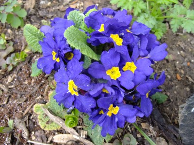 2016_0409033.JPG