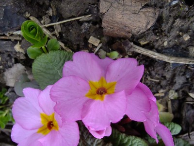 2016_0409037.JPG