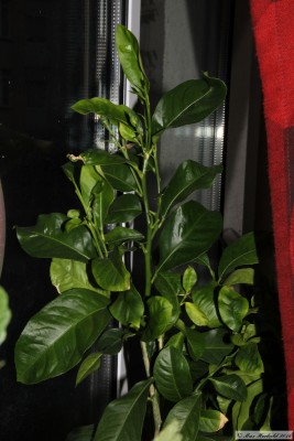 20140412_01.JPG