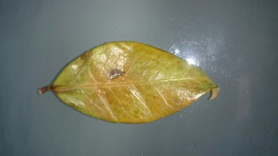 DSC_1039.JPG