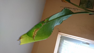 DSC_0077.JPG