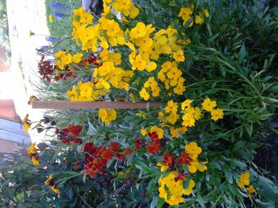2016-04-19 17.23.45.jpg