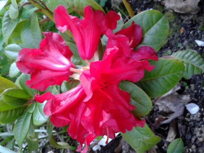 2016-04-19 17.24.46.jpg