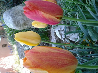 2016-04-19 17.22.23.jpg