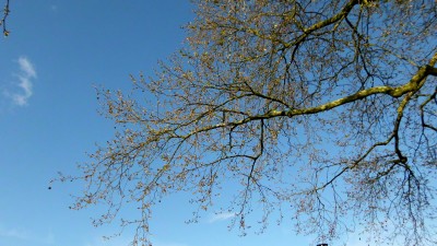 und dann wieder so.JPG