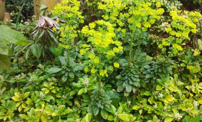20160430_143856.jpg