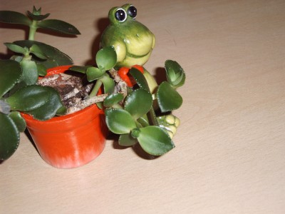IMG00055.JPG