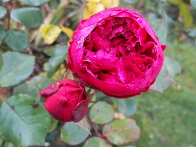ALIM1057.jpg