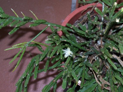 2016-05-05 002b.jpg