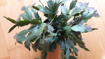 20160506_142241.jpg