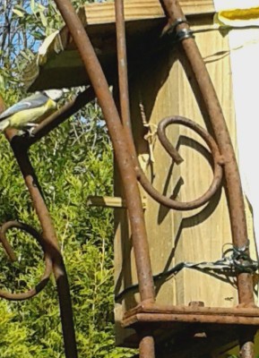 20160506_163608 Meisenkasten 0.jpg