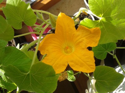 2016-05-07 08.21.51.jpg