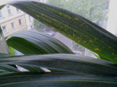 IMG_20160508_200116.jpg
