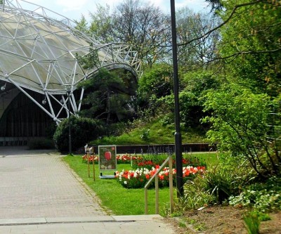 Essen 042016 (7).JPG