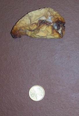 2016-05-08 007.jpg