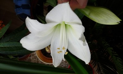 20160422_175432.jpg