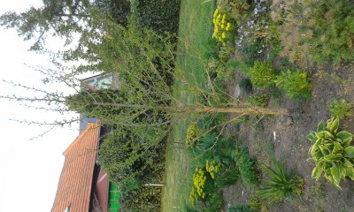20160511_194214.jpg