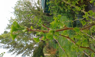 20160511_194239.jpg