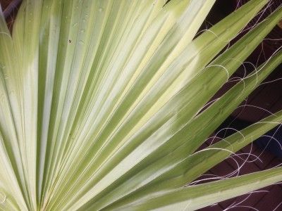 image3.JPG