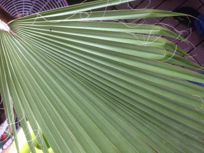 image4.JPG
