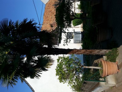 20160513_084745.jpg