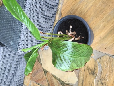 Datei 13.05.16, 10 47 22.jpeg