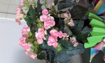 20160515_100152.jpg
