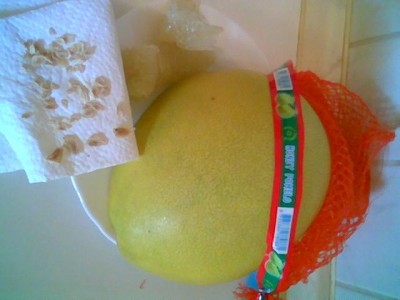 pomelo2.jpg