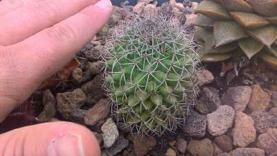 WP_20160517_10_11_26_Pro.jpg