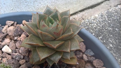 WP_20160517_10_11_04_Pro.jpg