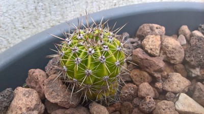 WP_20160517_10_11_33_Pro.jpg