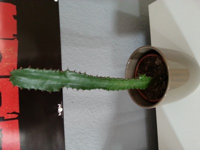 20160519_162851.jpg