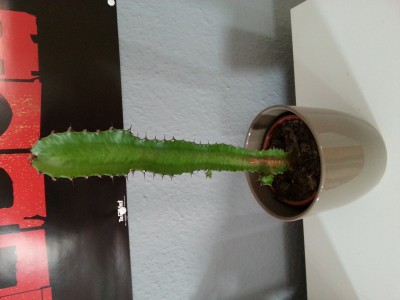 20160519_162909.jpg