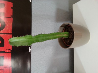 20160519_162921.jpg