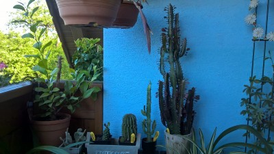 WP_20160521_07_28_59_Pro.jpg