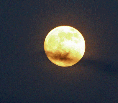P1010691.gif