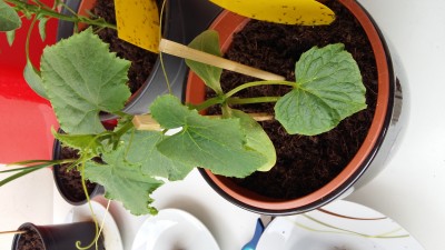 20160523_143313.jpg