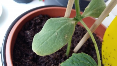 20160523_143254.jpg