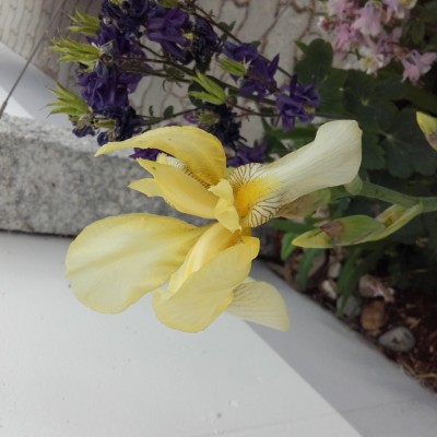 20160523_090643.jpg