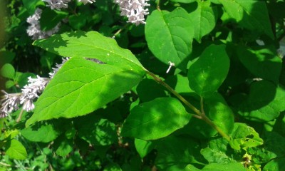 20160526_153155.jpg