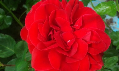20160526_153523.jpg