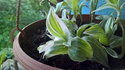 WP_20160526_20_18_31_Pro.jpg