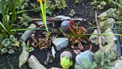 WP_20160515_19_14_49_Pro.jpg