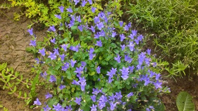 WP_20160527_19_30_33_Pro.jpg