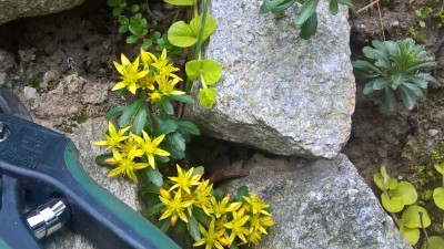 WP_20160527_19_30_12_Pro.jpg
