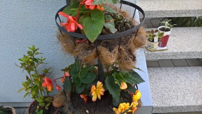 WP_20160528_14_18_06_Pro.jpg