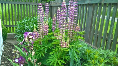 WP_20160528_16_10_27_Pro.jpg