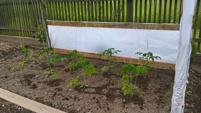 WP_20160528_16_10_33_Pro.jpg
