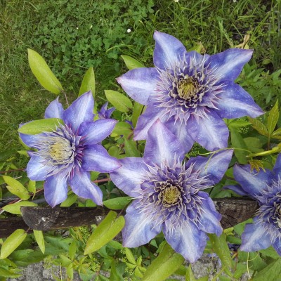 20160528_155806.jpg